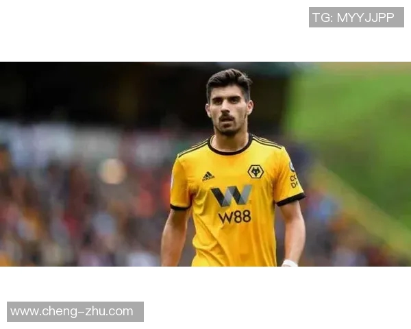 武汉网球队荣登网球比赛经验排行榜第一名的背后故事与成就解析