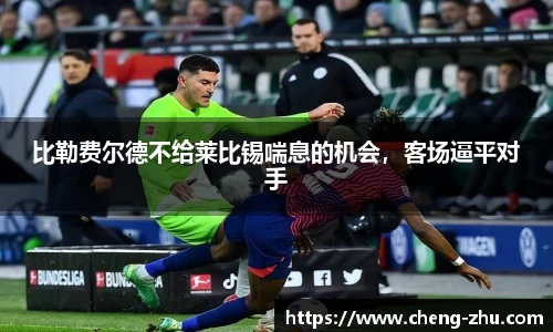中欧体育官网