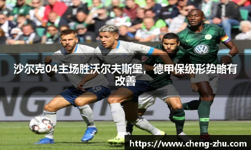 zoty中欧体育官方网站