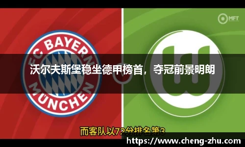 中欧体育官网