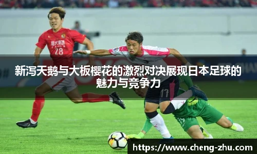 zoty中欧体育官方网站