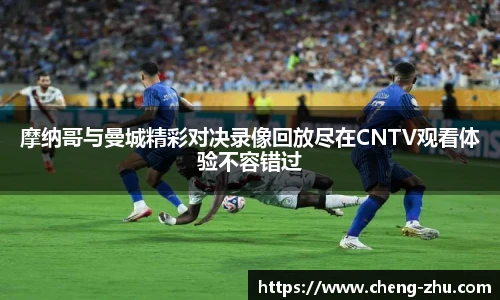 中欧体育官网